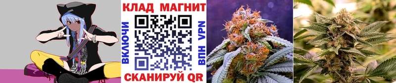 Какие есть наркотики Кедровый Гашиш мега рабочий сайт A-PVP Бошки Шишки Меф КОКАИН
