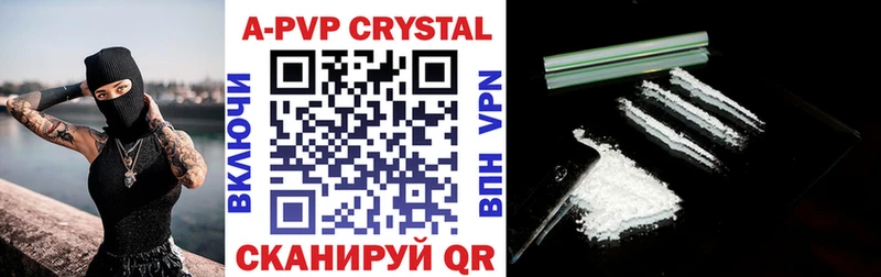 A PVP СК КРИС  Кедровый 