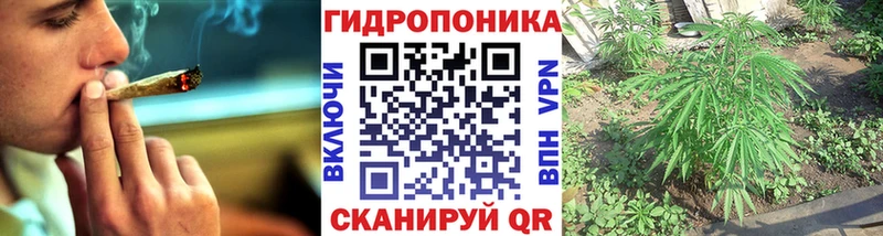 hydra вход  купить закладку  Кедровый  Бошки марихуана AK-47 